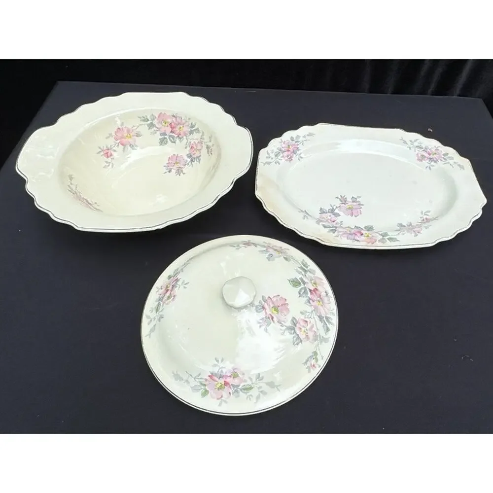 2 Vintage WS George LIDO Canarytone Pink Floral Bowls Serving Dishes -A84